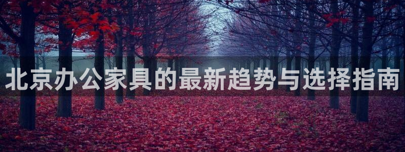 球盟会qmh登录地址