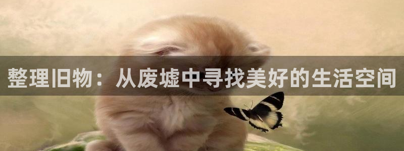球盟会APP最新地址