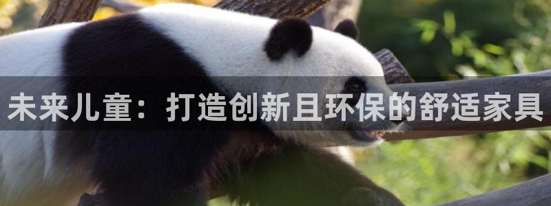 球盟会网页登录入口