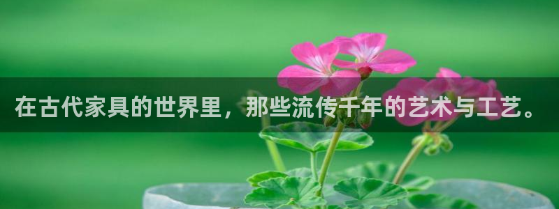 球盟会网页登录入口