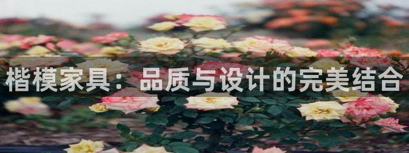 球盟会平台会黑单吗