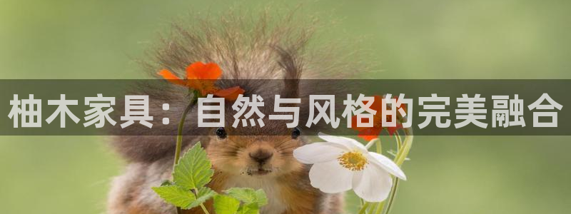 球盟会app最新地址在哪