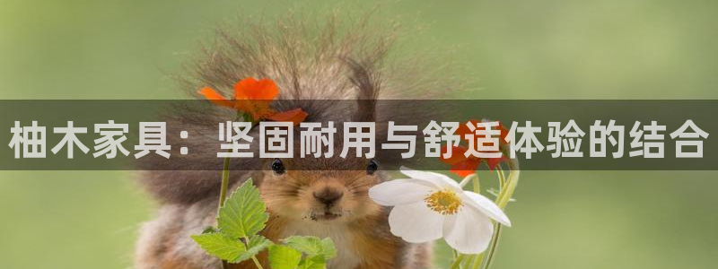 球盟会手机网页版