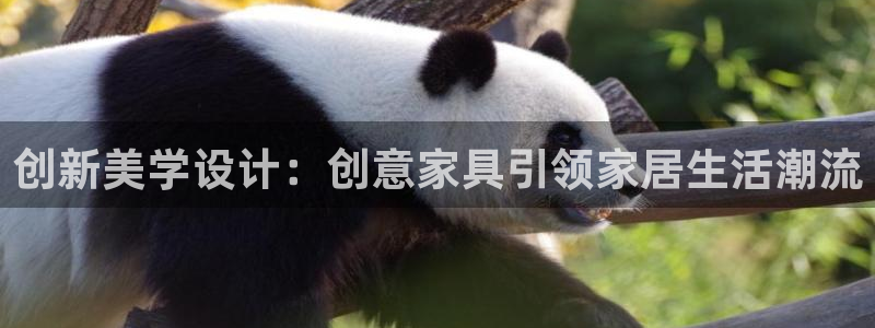 球盟会和中欧会的区别