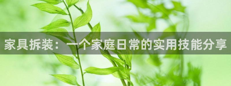 球盟会登陆入口