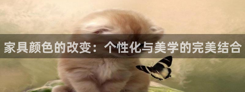 球盟会官方最新入口