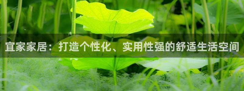 球盟会有没有黑单的活动