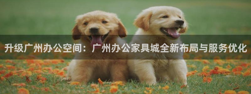 球盟会官方网站