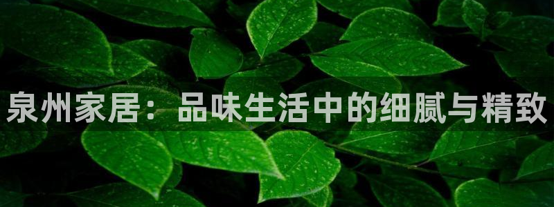 球盟会APP下载