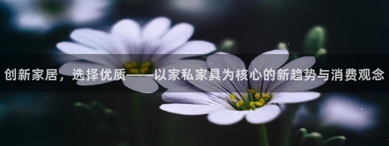 球盟会下款快吗