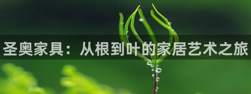 球盟会可以提现么