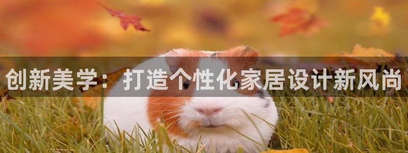 球盟会最新地址备用