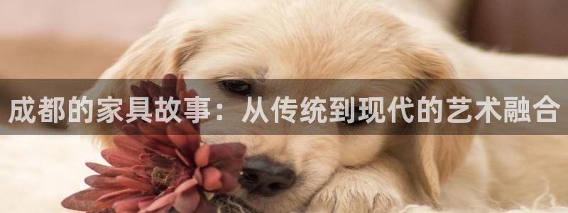 球盟会黑款吗还是白款