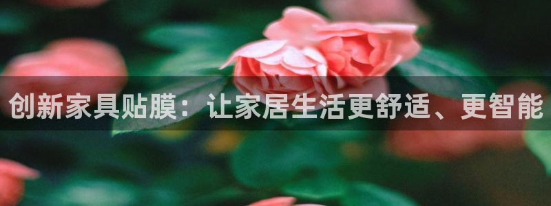 球盟会进不去球员吗