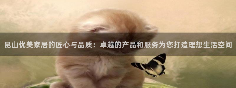 球盟会黑台子吗