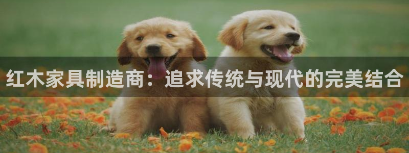 球盟会官方下载