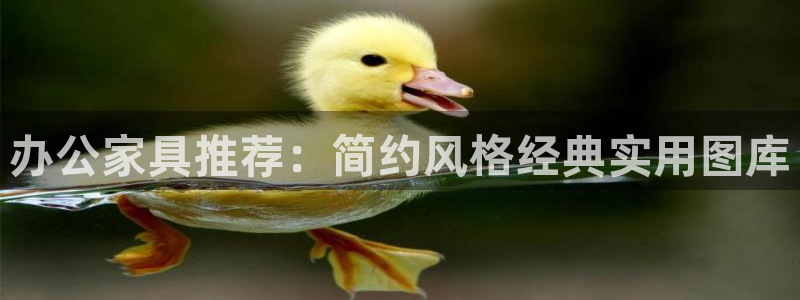 球盟会登录平台