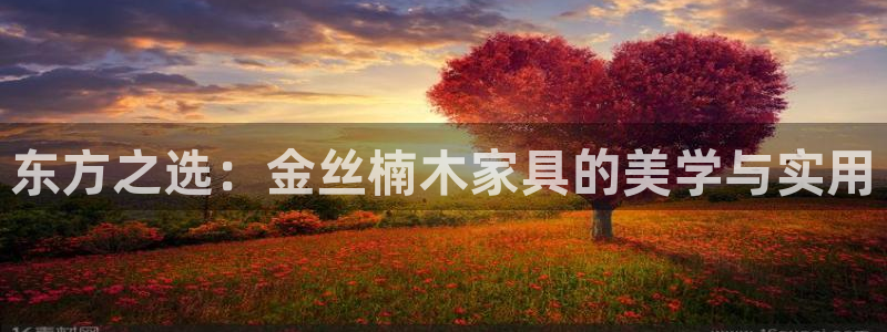 球盟会里面有打牌的嘛