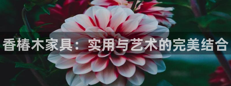 球盟会优惠领取网站