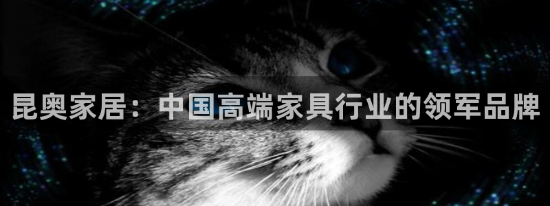 球盟会官方网址入口