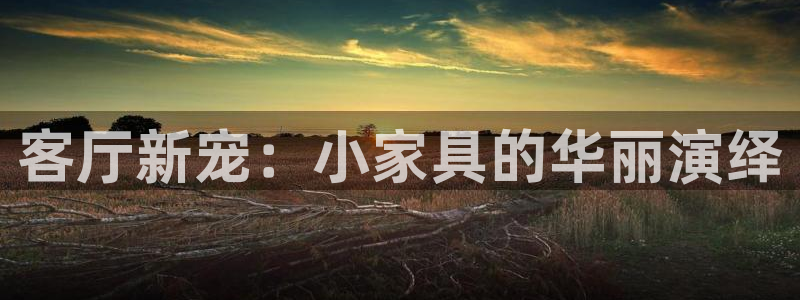 球盟会最新地址备用